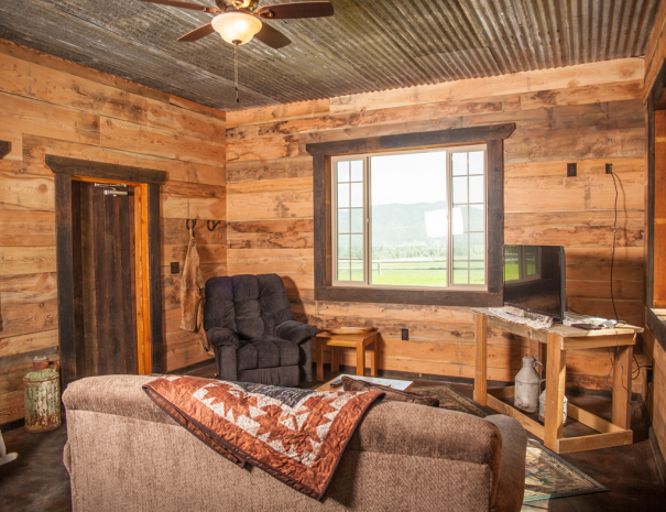 Quarter_horse_front_room_chair_tv